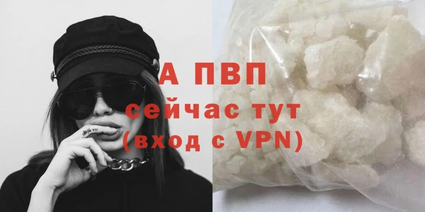 дмт Белокуриха