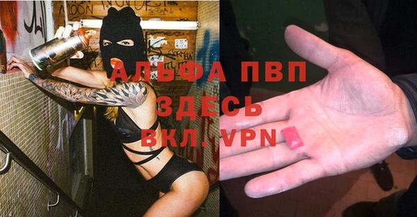 ГАЛЛЮЦИНОГЕННЫЕ ГРИБЫ Белоозёрский