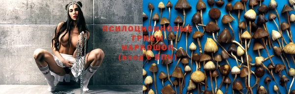 дмт Белокуриха