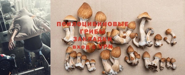 ГАЛЛЮЦИНОГЕННЫЕ ГРИБЫ Белоозёрский