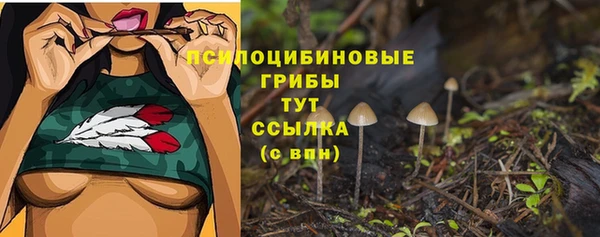 ГАЛЛЮЦИНОГЕННЫЕ ГРИБЫ Белоозёрский