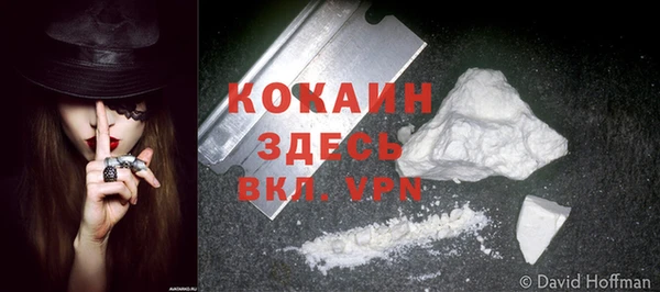 ГАЛЛЮЦИНОГЕННЫЕ ГРИБЫ Белоозёрский