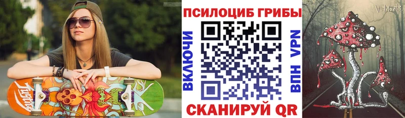 Галлюциногенные грибы Psilocybe  мега зеркало  Вуктыл  как найти закладки 